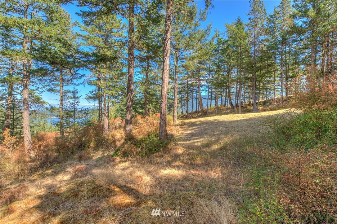 6 Village View Road Orcas Island, WA 98245 - Photo 3 of 10 Gallery Image 3