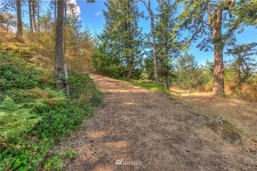 6 Village View Road Orcas Island, WA 98245 - Photo 4 of 10 Gallery Image 4