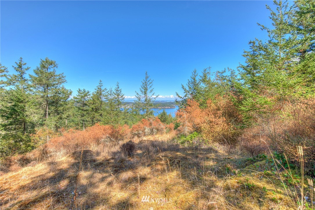 6 Village View Road Orcas Island, WA 98245 - Photo 5 of 10 Gallery Image 5