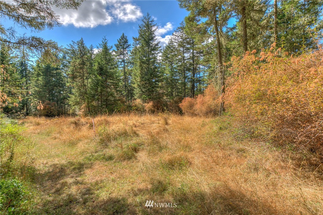 6 Village View Road Orcas Island, WA 98245 - Photo 6 of 10 Gallery Image 6