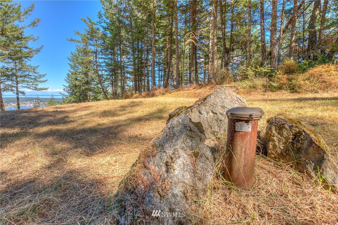 6 Village View Road Orcas Island, WA 98245 - Photo 7 of 10 Gallery Image 7