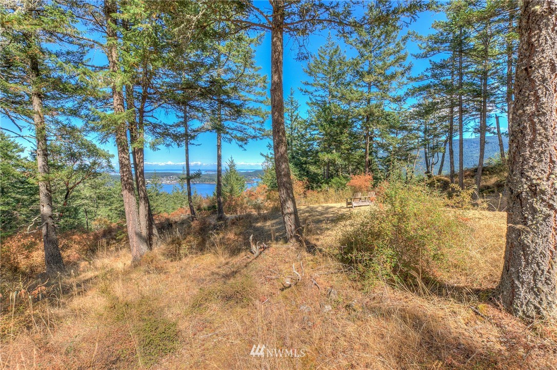6 Village View Road Orcas Island, WA 98245 - Photo 8 of 10 Gallery Image 8