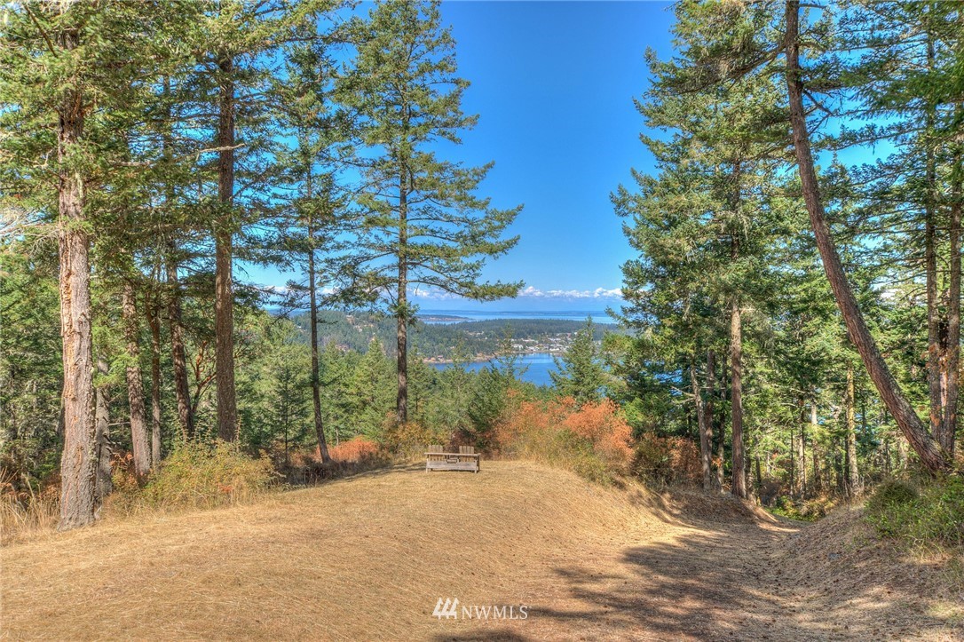 6 Village View Road Orcas Island, WA 98245 - Photo 9 of 10 Gallery Image 9