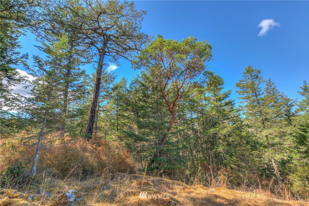 6 Village View Road Orcas Island, WA 98245 - Photo 10 of 10 Gallery Image 10