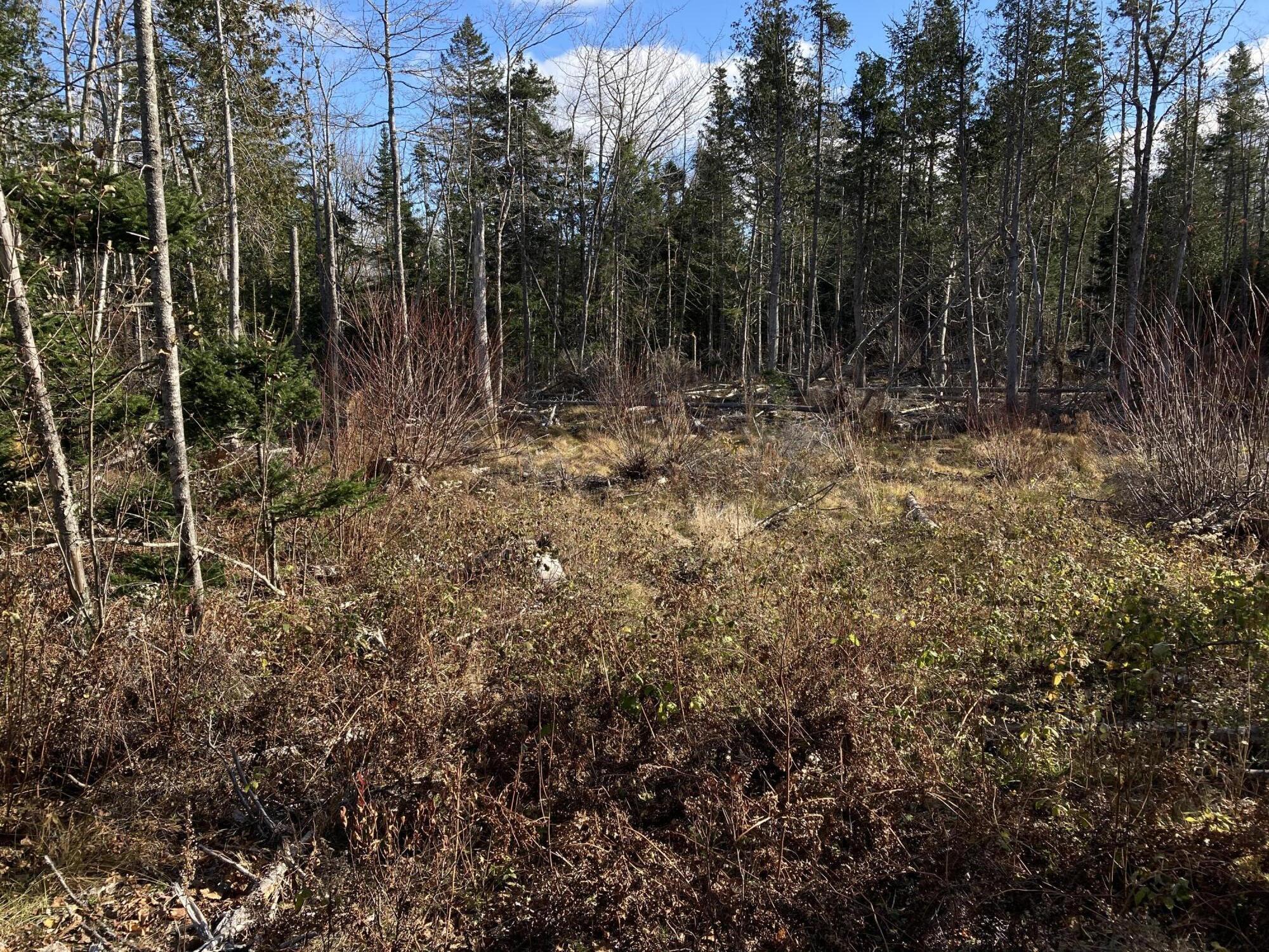 Lot 5-a Pond Road Gouldsboro, ME 04607 - Photo 12 of 19 IMG_1409