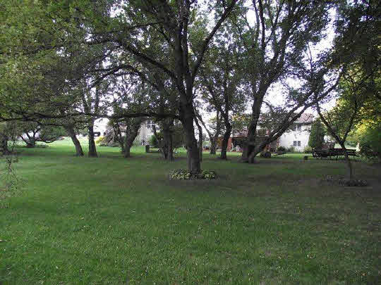 125 Pembroke Road Southwest Poplar Grove, IL 61065 - Photo 10 of 10 a big yard with large trees