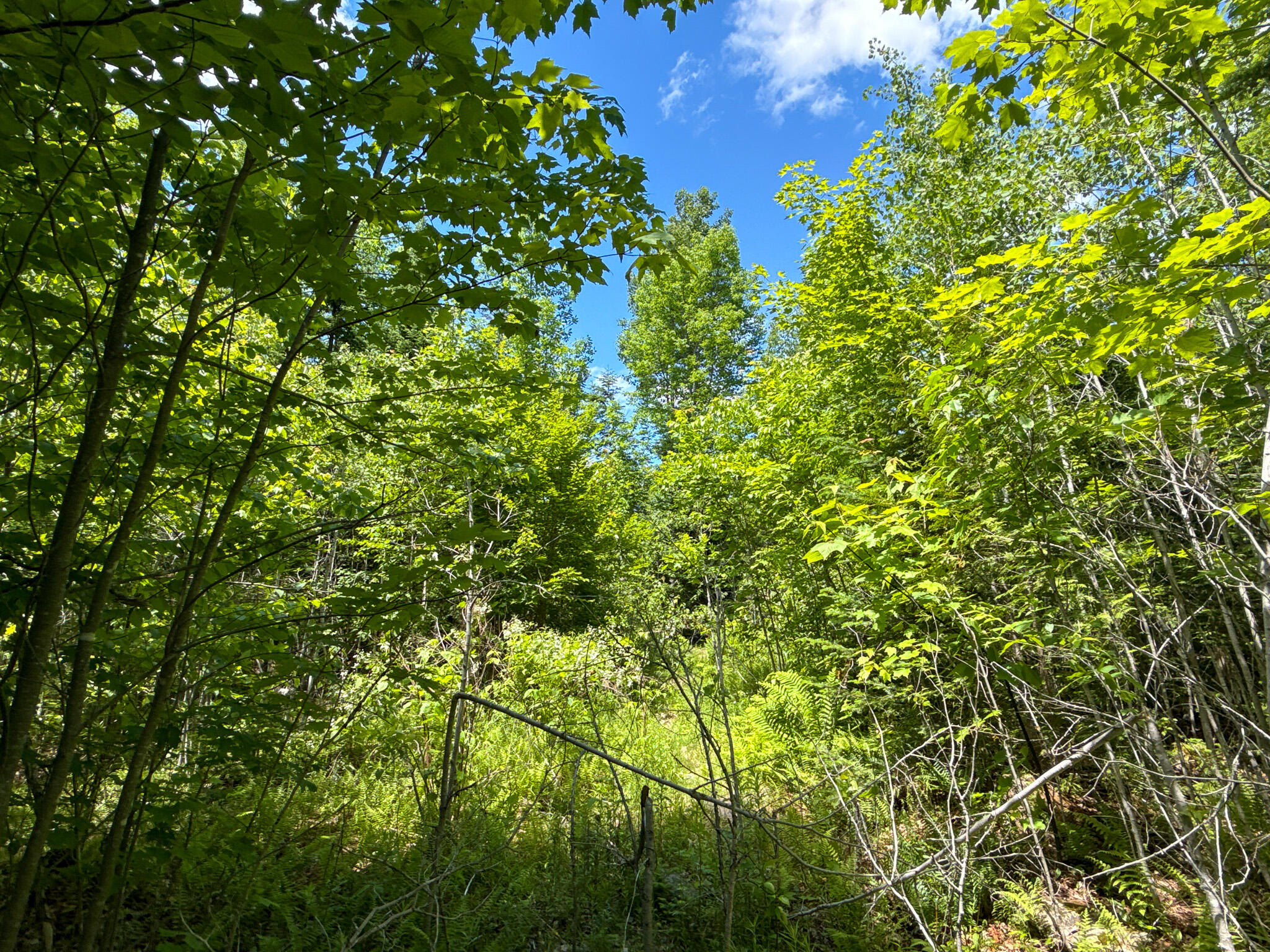 B B Lookout Lane Springfield, ME 04487 - Photo 28 of 33