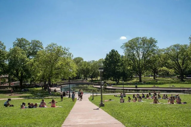 a view of a park with large trees