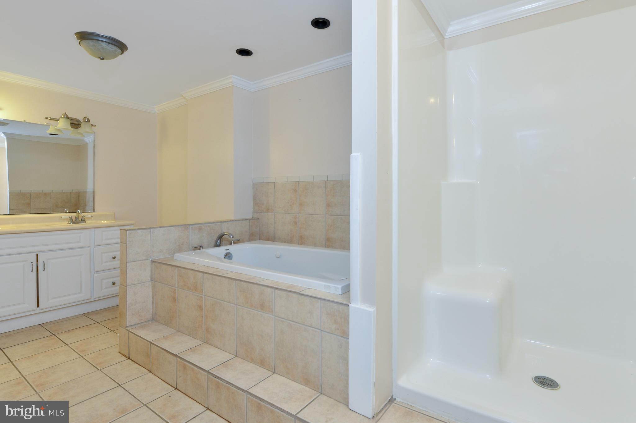 135 Milestone Road Elkton, MD 21921 - Photo 16 of 21 Huge full bath in lower level