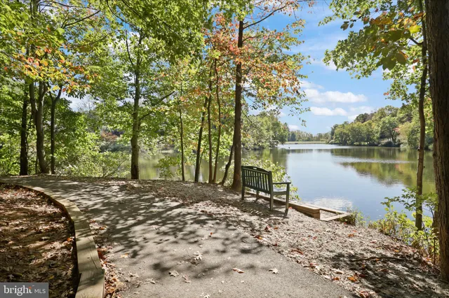a view of a lake with a tree