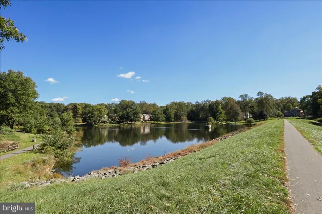 a view of a lake in middle of the forest