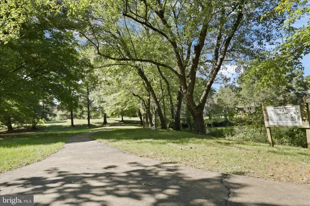 a view of a park with large trees
