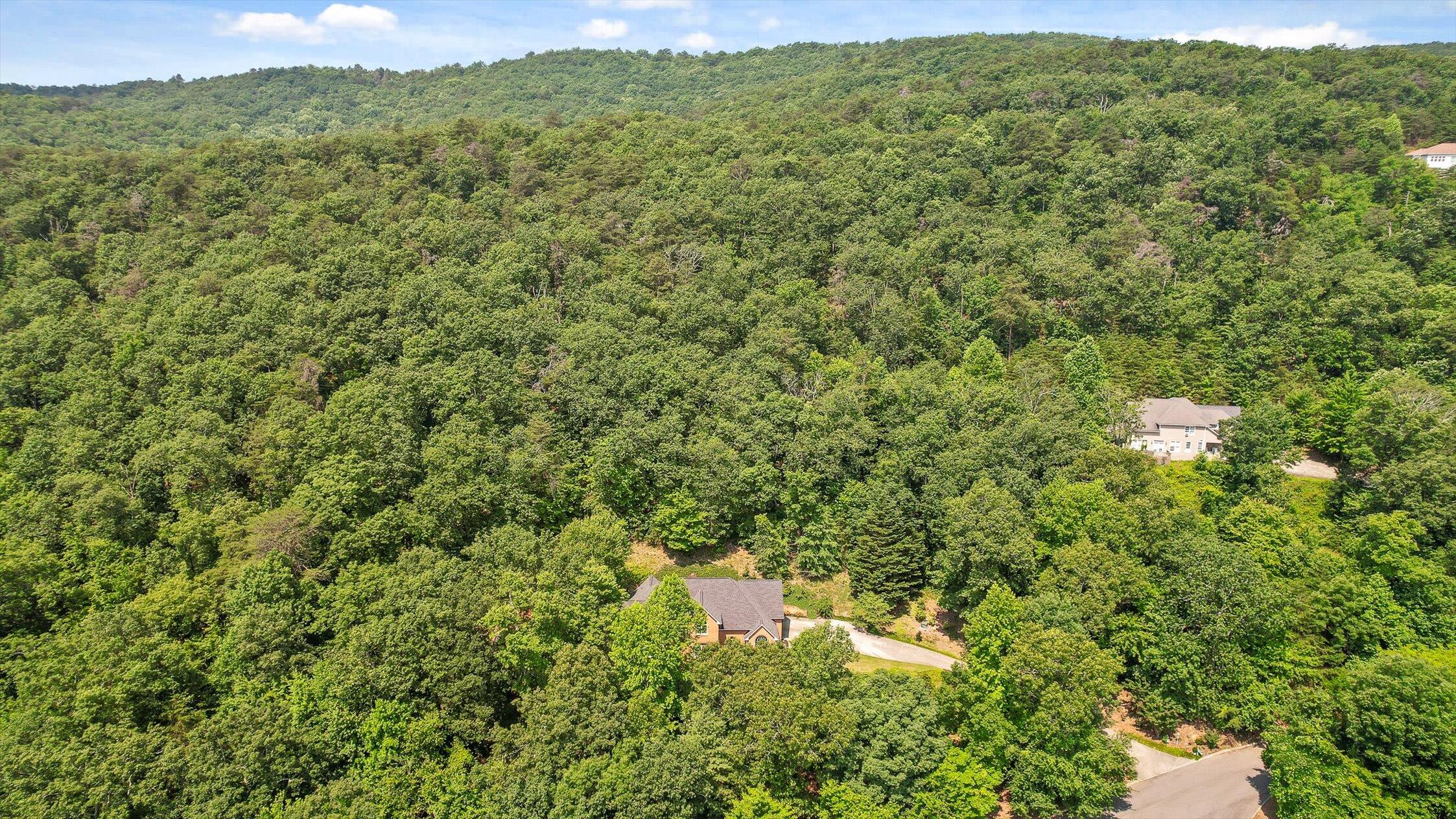 2001 Eagle Point Drive Dalton, GA 30720 - Photo 54 of 58 51-Eagle-51