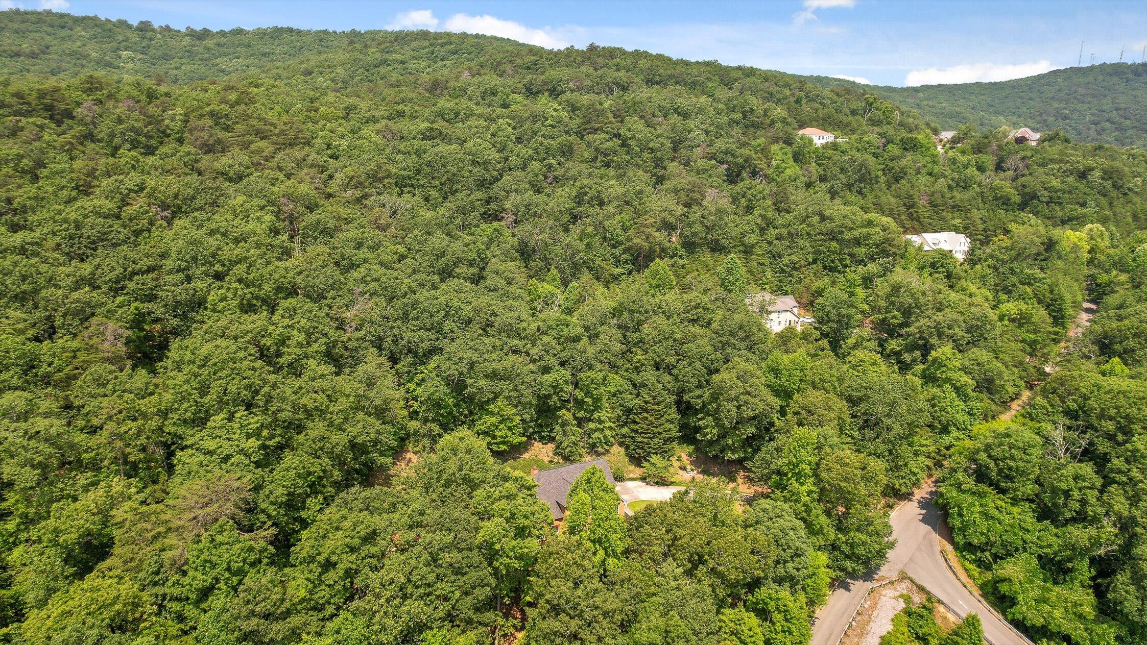 2001 Eagle Point Drive Dalton, GA 30720 - Photo 55 of 58 52-Eagle-52