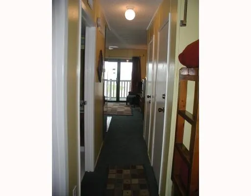 a view of backyard and window