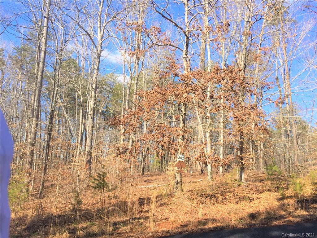 Lot#302 Bitterroot Circle Rutherfordton, NC 28139 - Photo 1 of 20