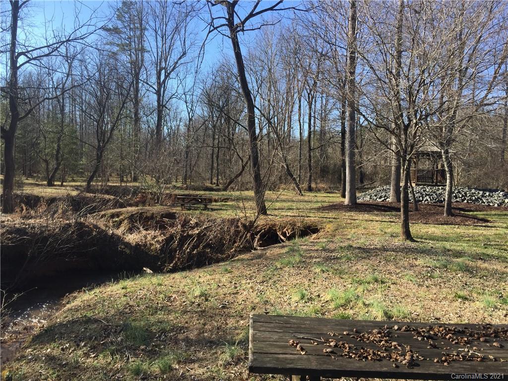 Lot#302 Bitterroot Circle Rutherfordton, NC 28139 - Photo 16 of 20 a view of yard with tree