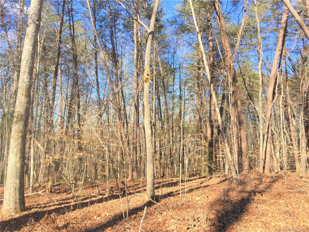 Lot#302 Bitterroot Circle Rutherfordton, NC 28139 - Photo 4 of 20