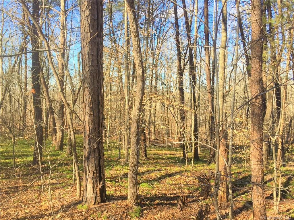 Lot#302 Bitterroot Circle Rutherfordton, NC 28139 - Photo 5 of 20