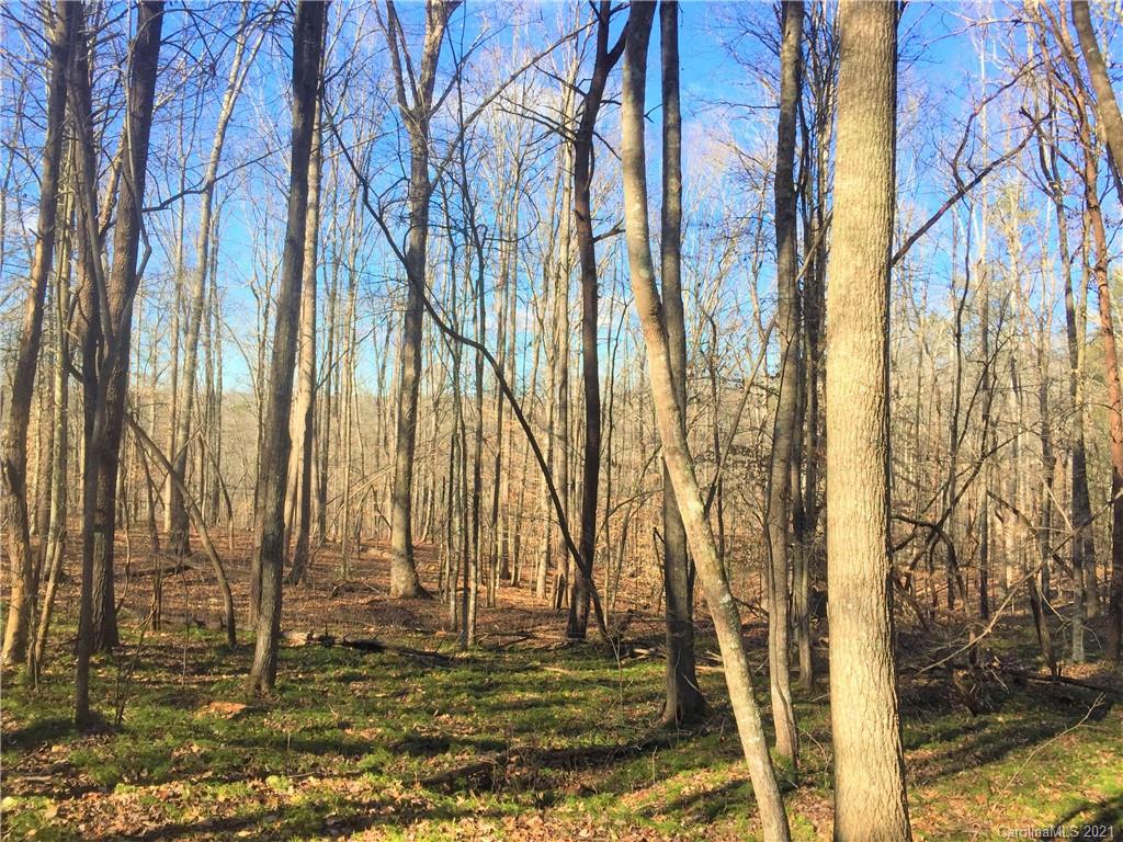 Lot#302 Bitterroot Circle Rutherfordton, NC 28139 - Photo 6 of 20 a view of ocean view