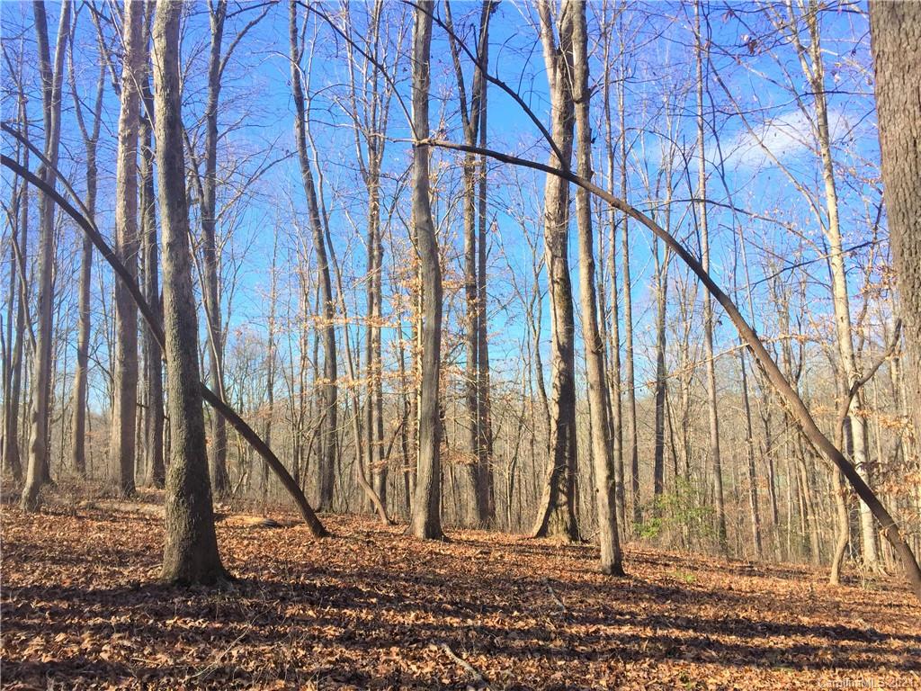 Lot#302 Bitterroot Circle Rutherfordton, NC 28139 - Photo 7 of 20 a view of wooden fence