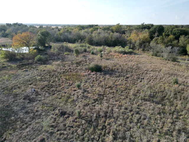 a view of a lush green space