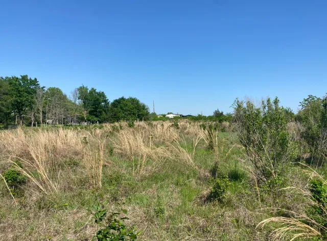 a view of a yard with wooden fence