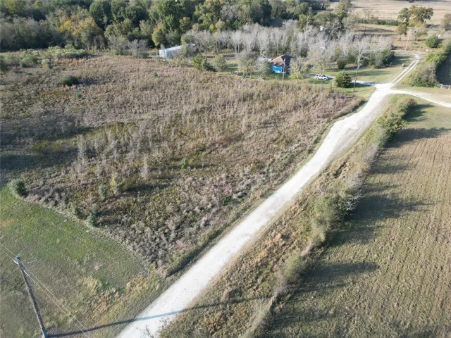 a view of a forest filled with trees