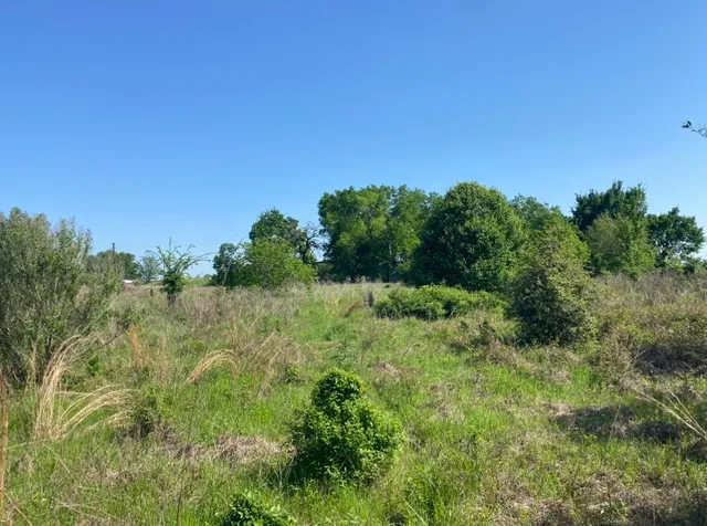 a view of a city with lush green forest