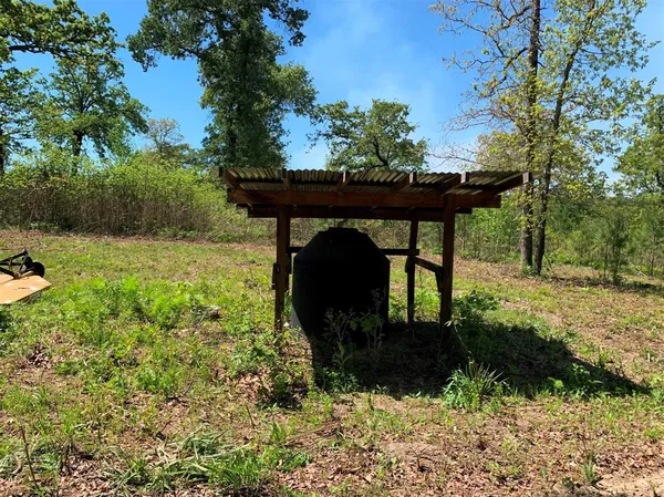 a view of a back yard