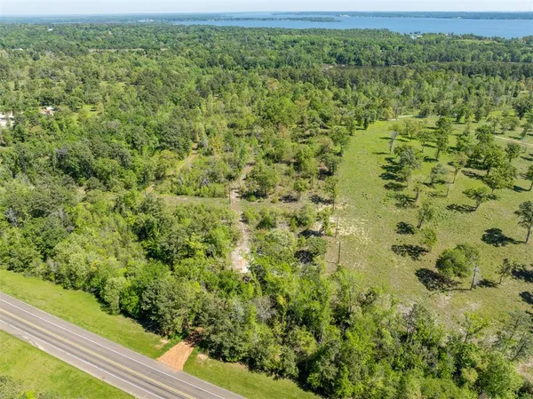 a view of a green field with lots of bushes