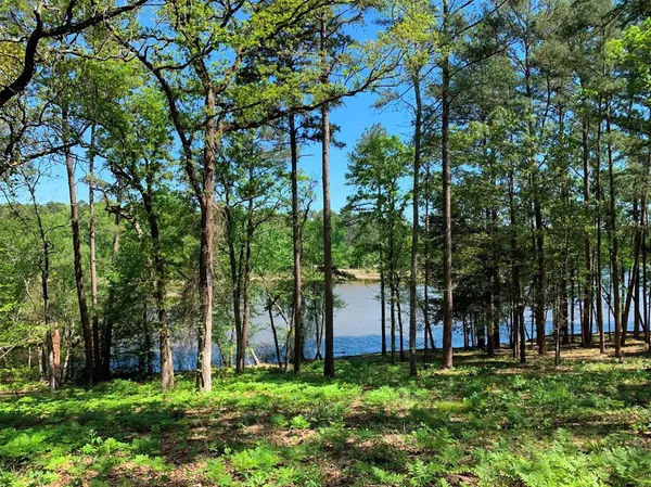 a green field with lots of trees