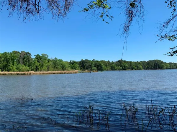 a view of lake with lots of palm trees
