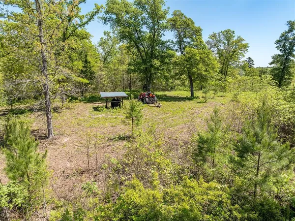 a view of yard with green space
