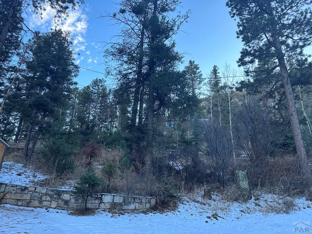 Tbd Wildwood Road Cascade, CO 80809 - Photo 2 of 3 a view of a dry yard with trees