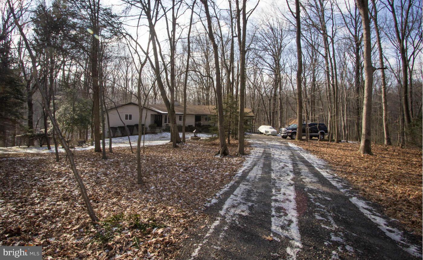 2810 Van Horn Road Jarrettsville, MD 21084 - Photo 24 of 24 View from dirveway