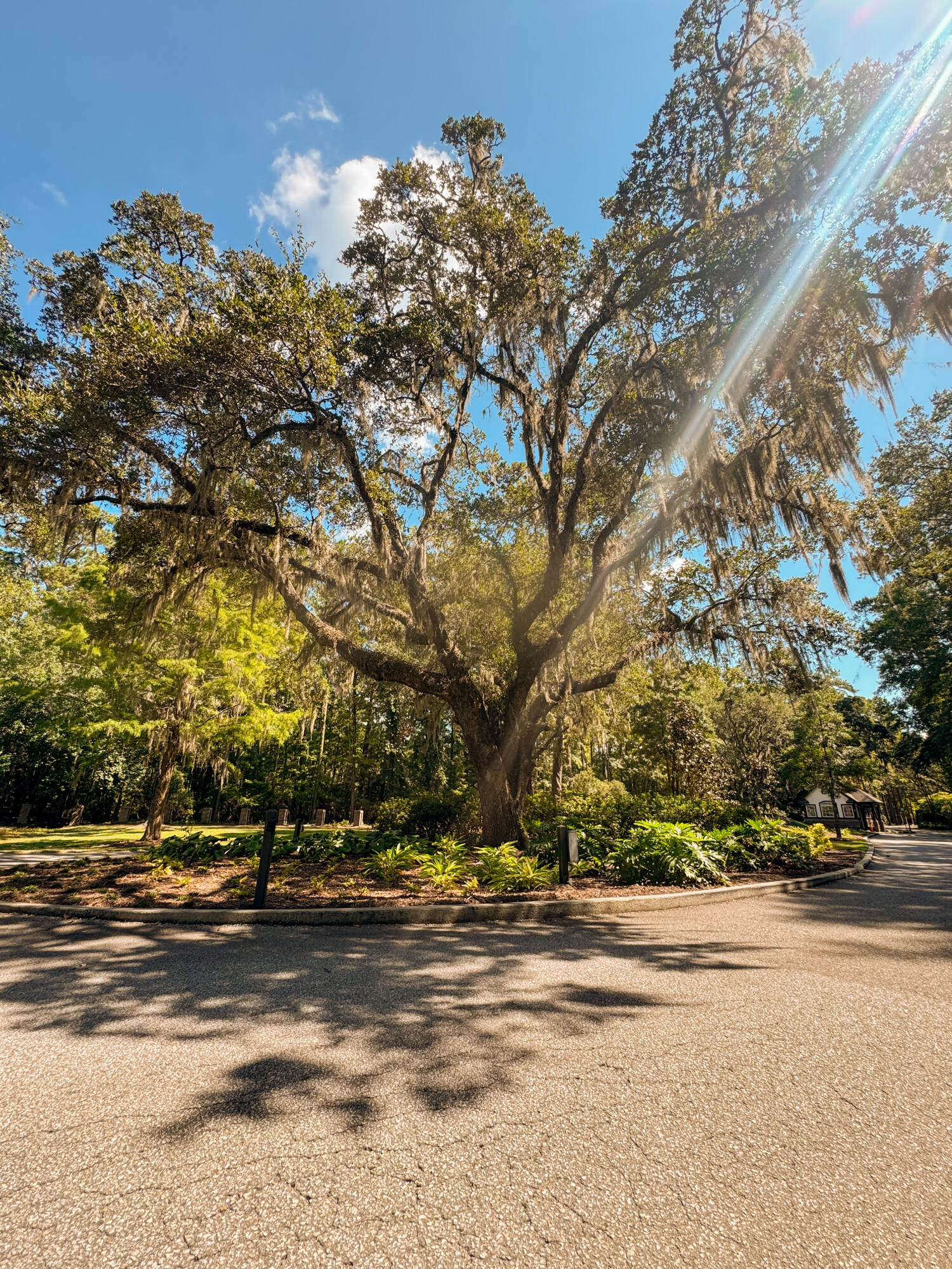 212 Bull Point Drive Seabrook, SC 29940 - Photo 3 of 28