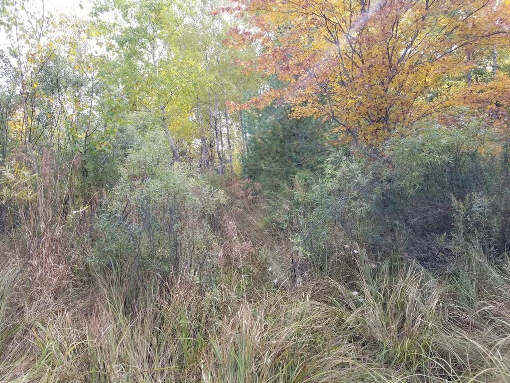 2089 Sigma Road Southeast Kalkaska, MI 49646 - Photo 20 of 57 1905734-19.JPG