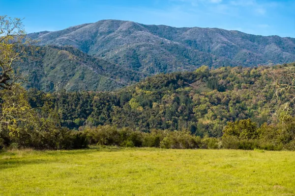 a view of a field with mountains in the background