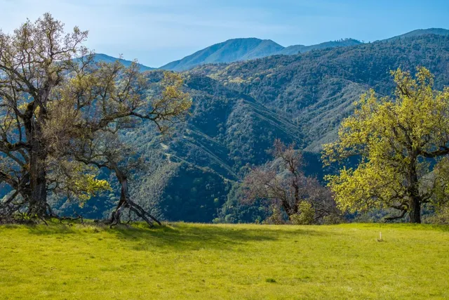 a view of swimming pool with mountain