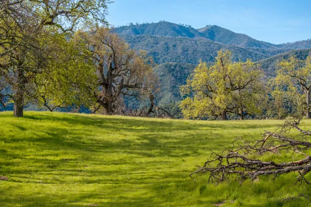 a view of a field with an ocean