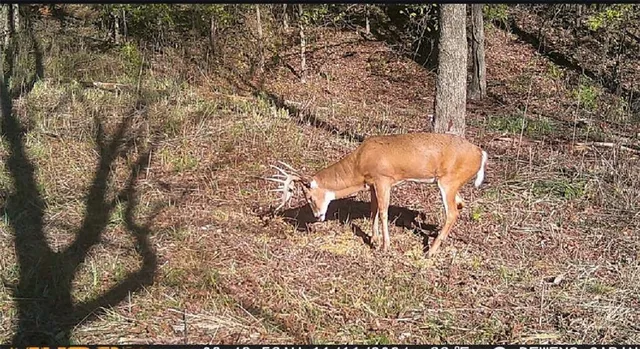 $1,112,875 | 17440 115th Road, Erie, KS 66733