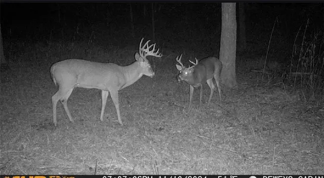 $1,112,875 | 17440 115th Road, Erie, KS 66733