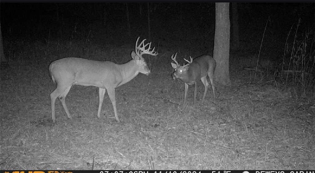 17440 115th Road Erie, KS 66733 - Photo 11 of 84