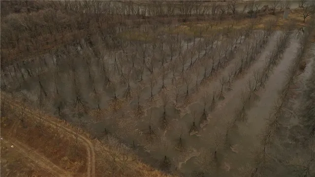 $1,112,875 | 17440 115th Road, Erie, KS 66733