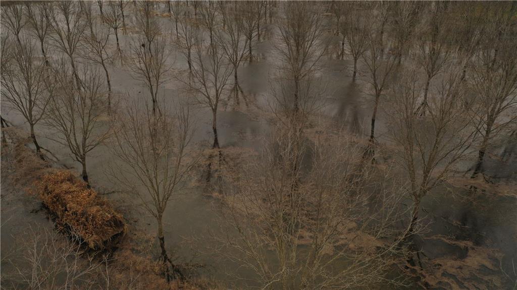 17440 115th Road Erie, KS 66733 - Photo 2 of 84