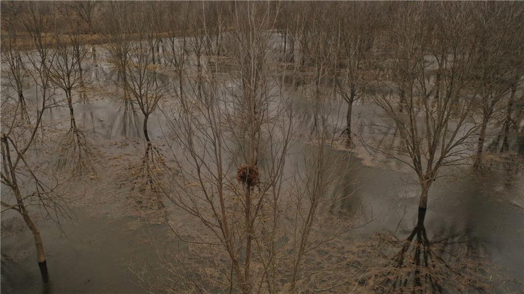 17440 115th Road Erie, KS 66733 - Photo 25 of 84