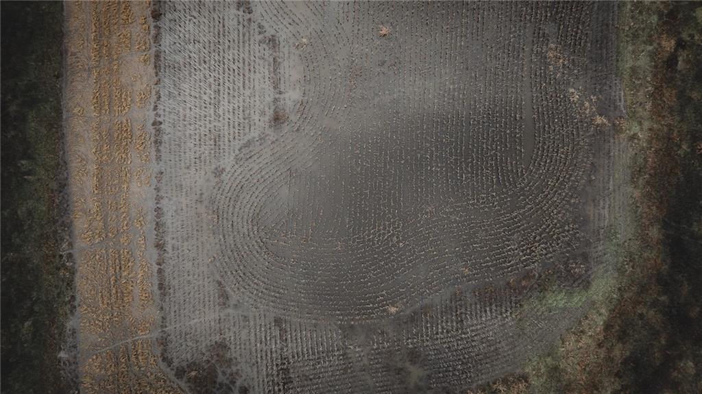 17440 115th Road Erie, KS 66733 - Photo 46 of 84