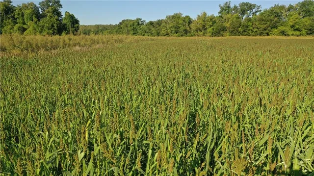 $1,112,875 | 17440 115th Road, Erie, KS 66733