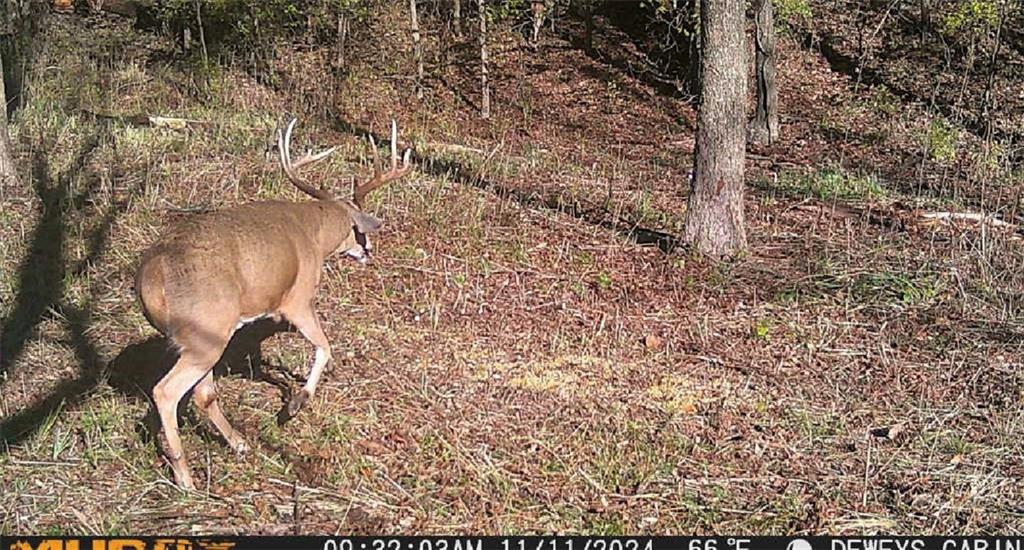 17440 115th Road Erie, KS 66733 - Photo 5 of 84